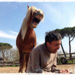 Attività con il Cavallo