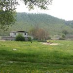 Week-End e Campi Estivi