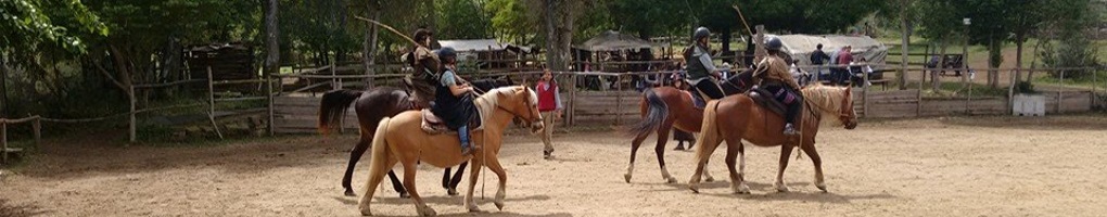 Attività Con Il Cavallo