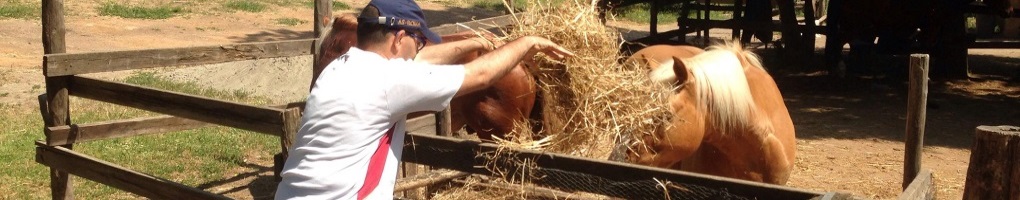 Centri Estivi Tra Cavallo e Natura