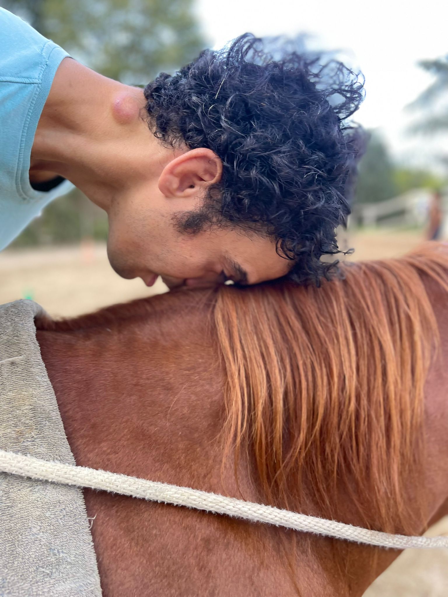 Equitazione Integrata