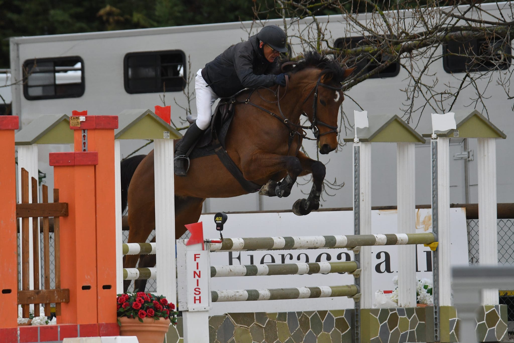 Alesio Mazzeo a cavallo