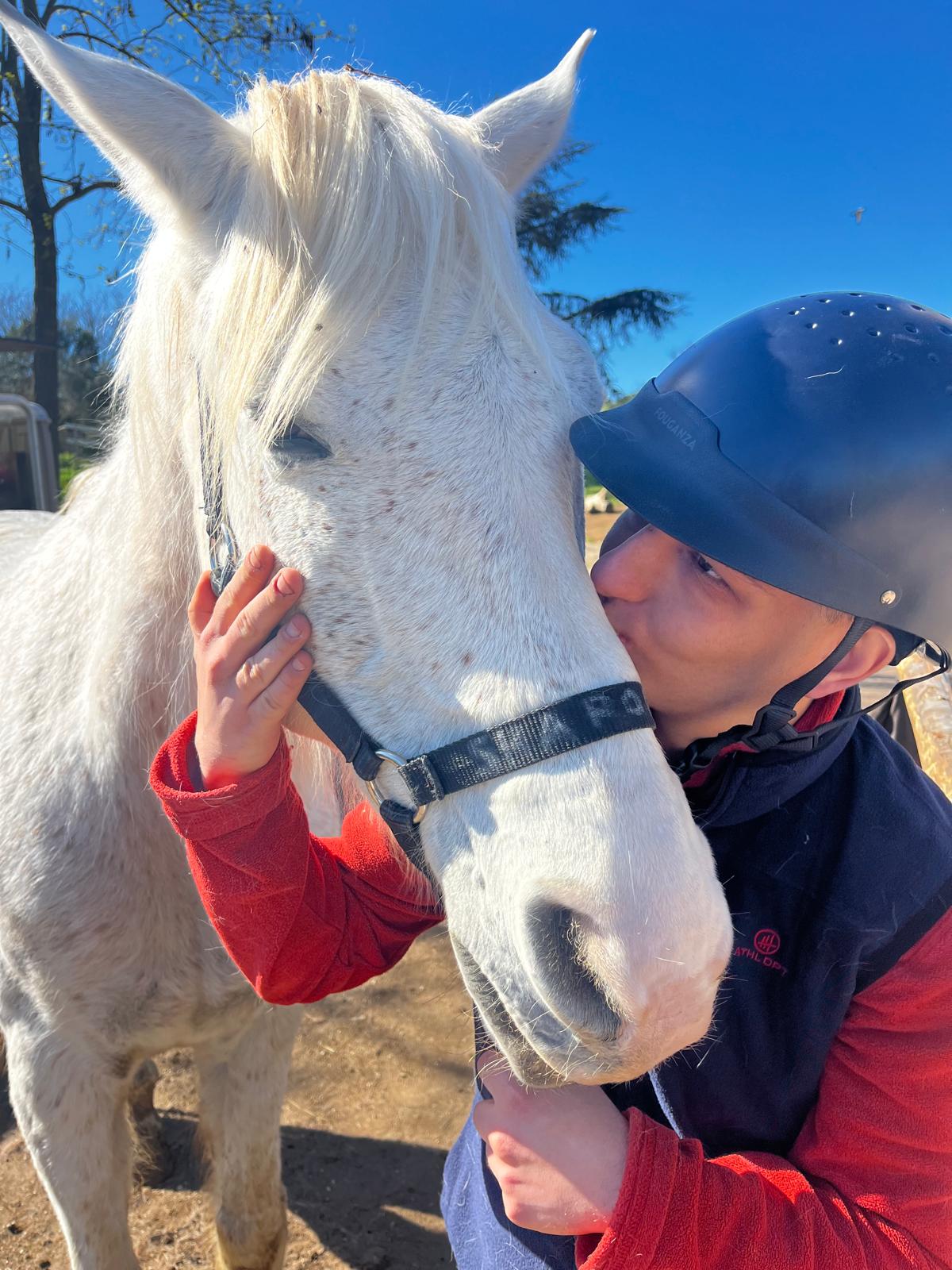 Accudimento e manutenzione degli animali a Ciampacavallo