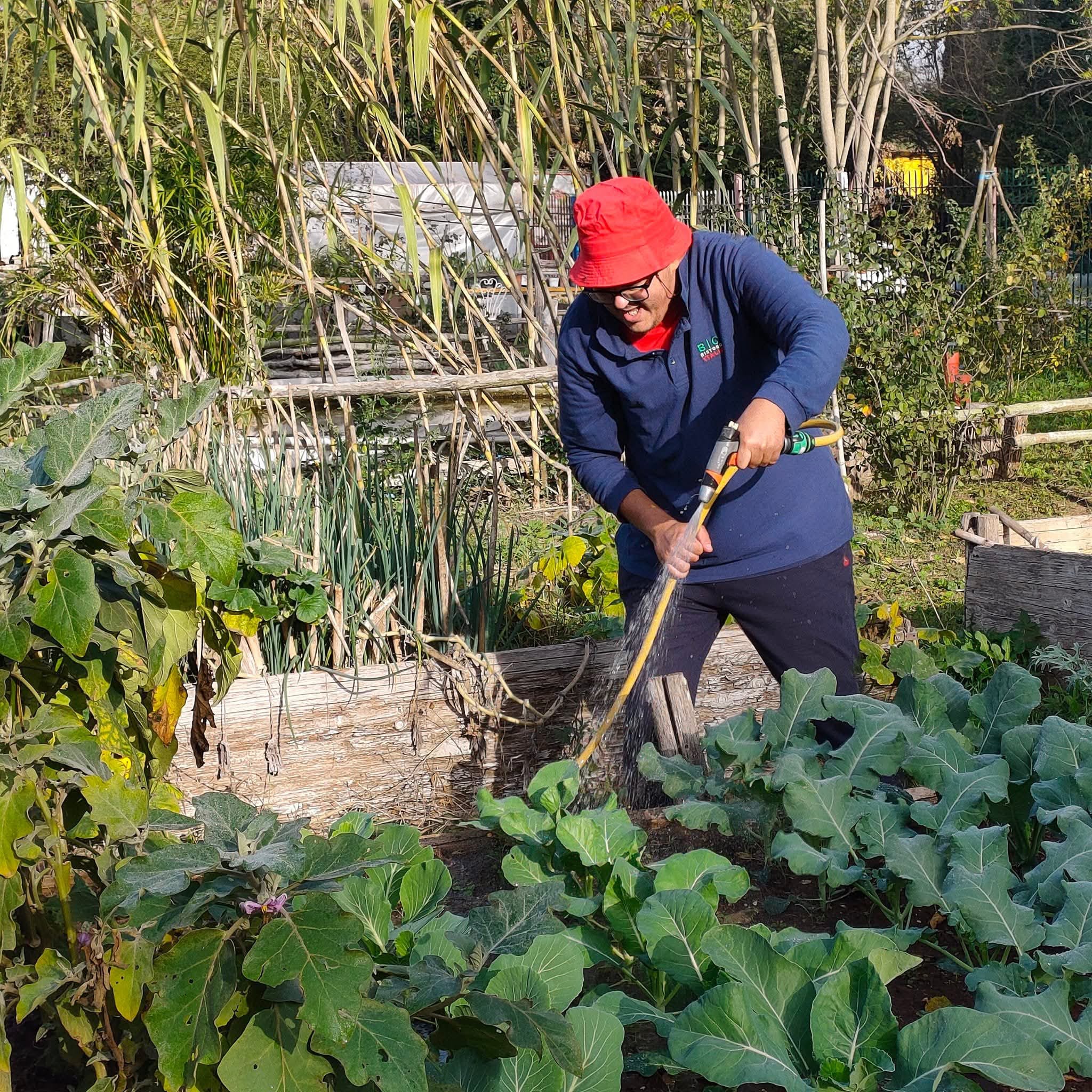 CiampaVivaio e cura delle piante
