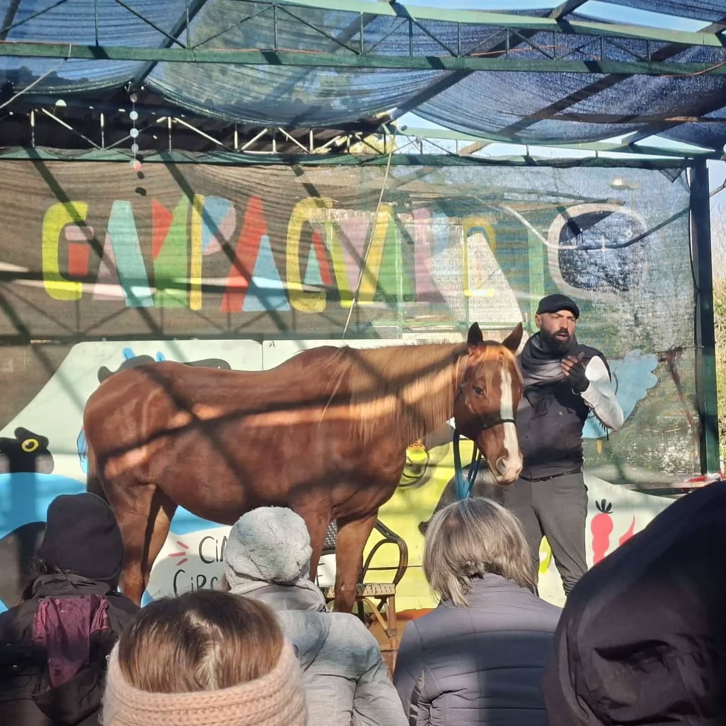 Stage “Il linguaggio dei cavalli” (30 novembre 2025)