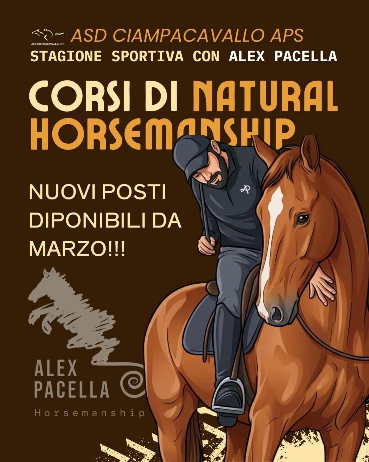 Corsi di Natural Horsemanship